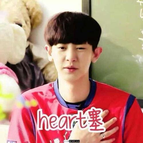 灿烈表情包视频,笑点满满，表情包界的“开心果”