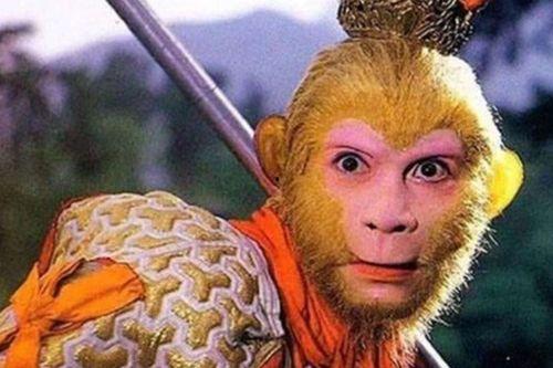 孙悟空资料,传奇猴王的一生