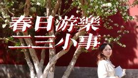 国内视频女主播网吧,揭秘国内女主播的直播魅力