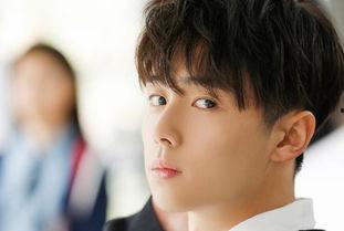 何凡个人资料,才华横溢的青年才俊，多领域成就斐然