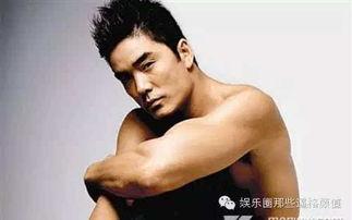 被潜男明星,揭秘被潜男星的痛苦历程