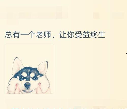 对网红说的话感动,温情话语汇聚感动瞬间