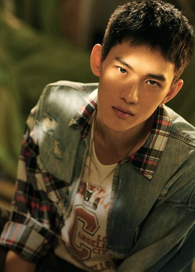 王放演员,从演艺新星到实力派演员的蜕变之路