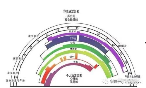 舒伯图片,揭秘人生阶段与职业规划的奥秘
