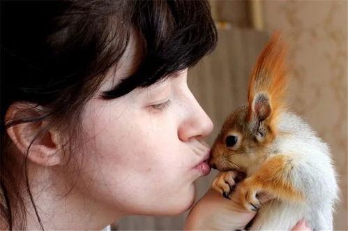 松鼠相关资料,森林中的精灵与智慧象征