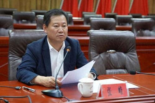 张峰个人资料,才华横溢的青年才俊，多领域成就斐然