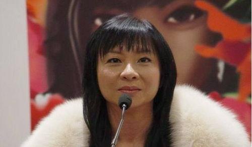 范怡文八卦,揭秘明星背后的故事与争议